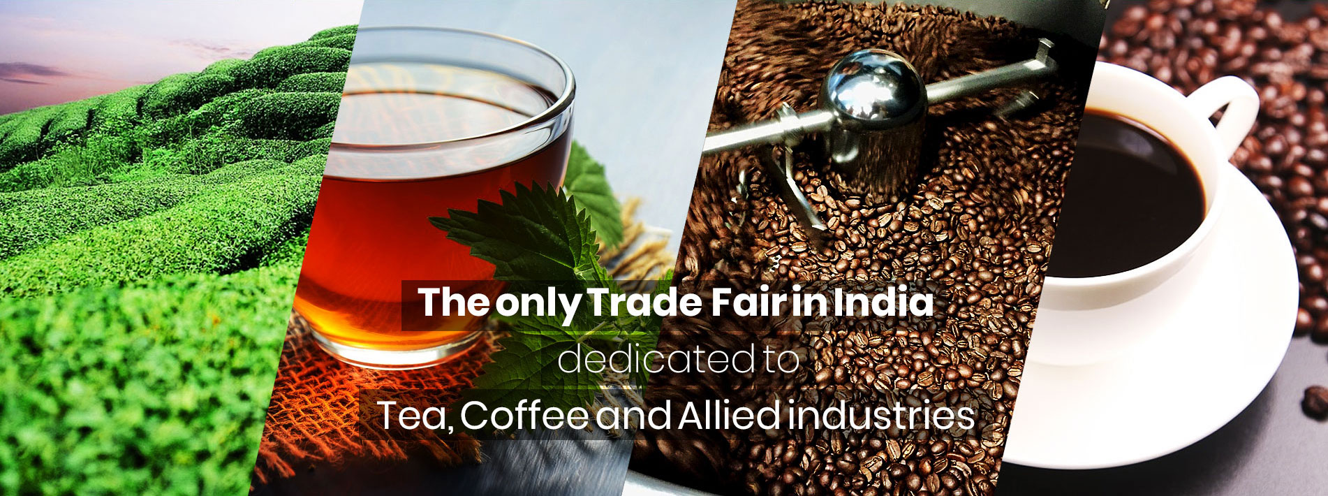 World Tea Coffee Expo The only trade fair in India dedicated to Tea